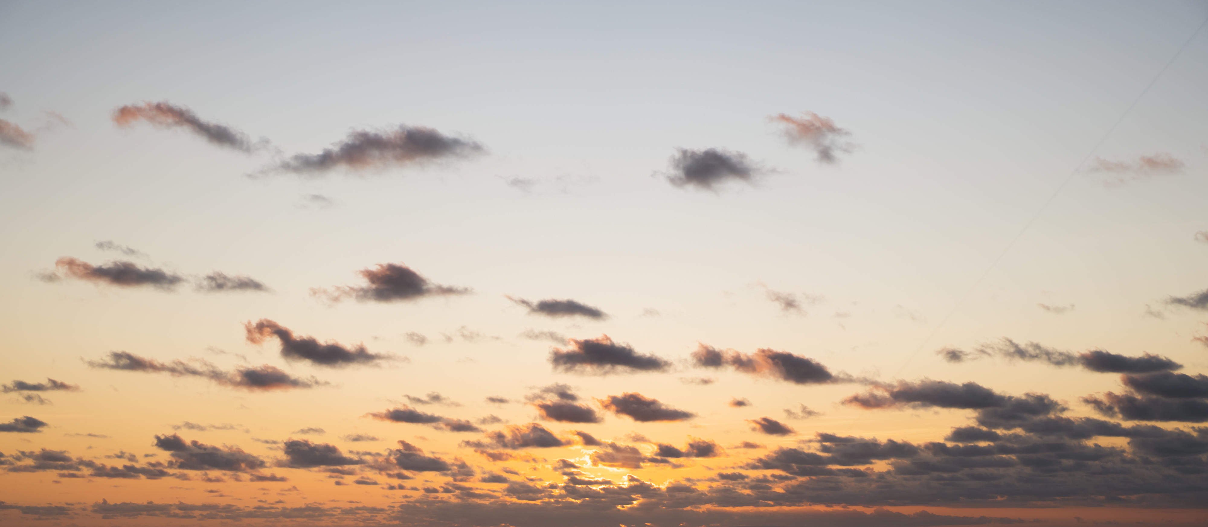 Whisper of the Ocean | Luminar Marketplace(69)