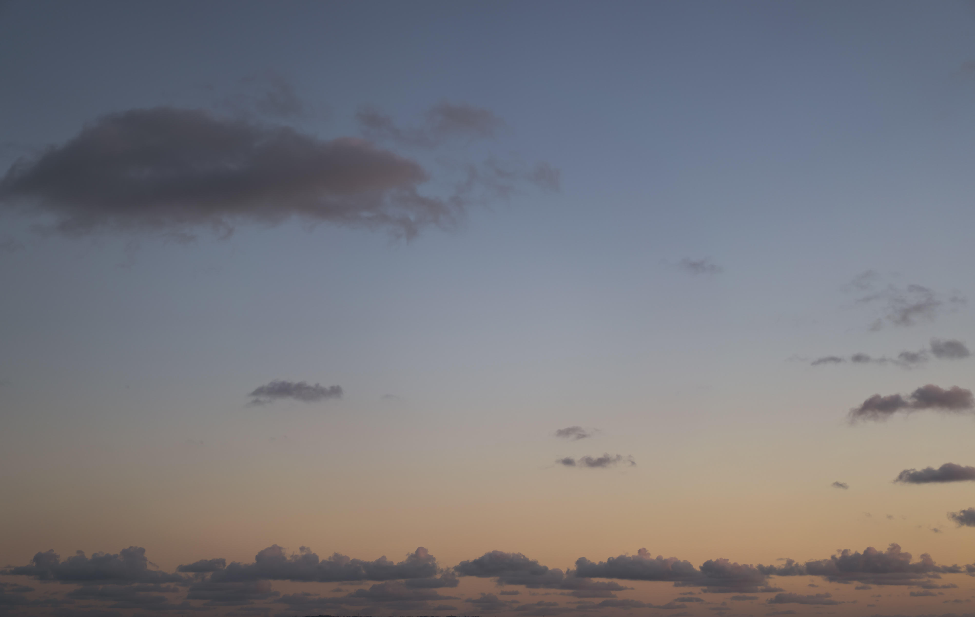 Whisper of the Ocean | Luminar Marketplace(70)