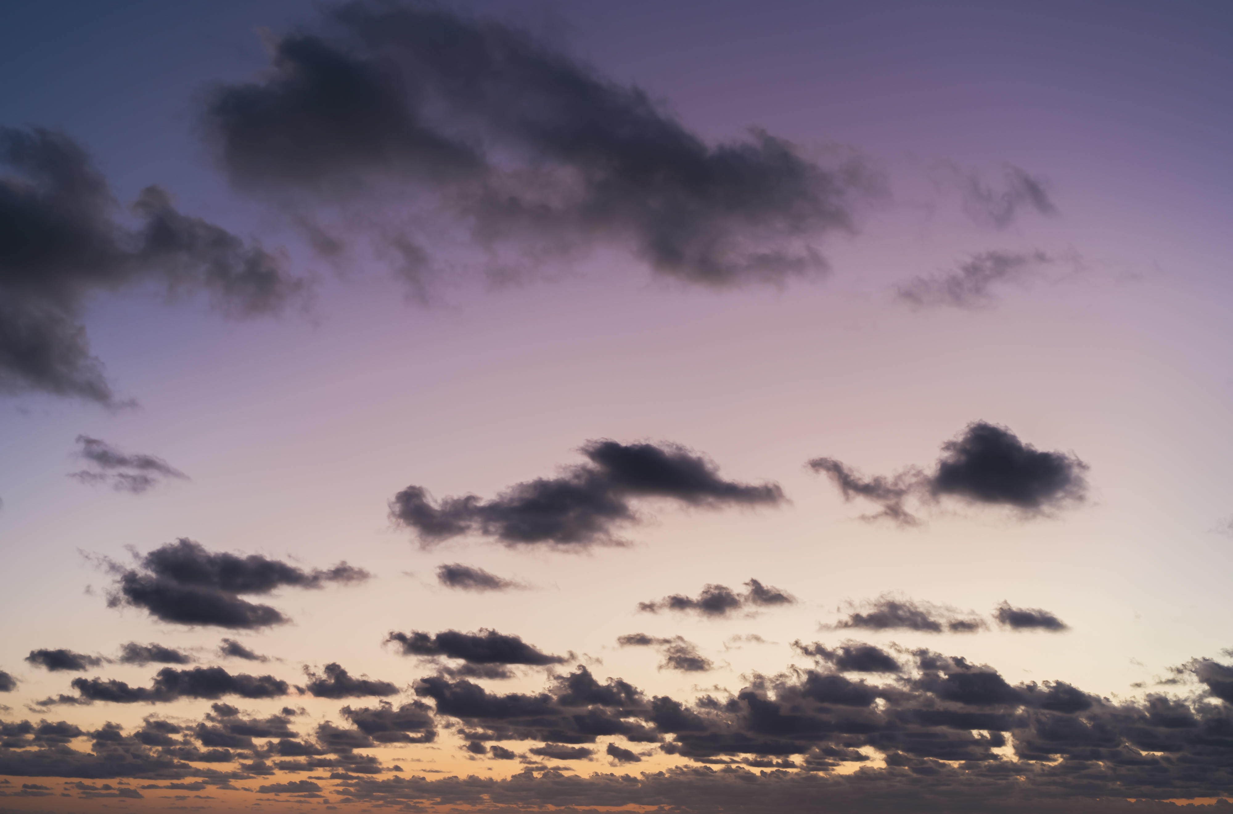 Whisper of the Ocean | Luminar Marketplace(71)