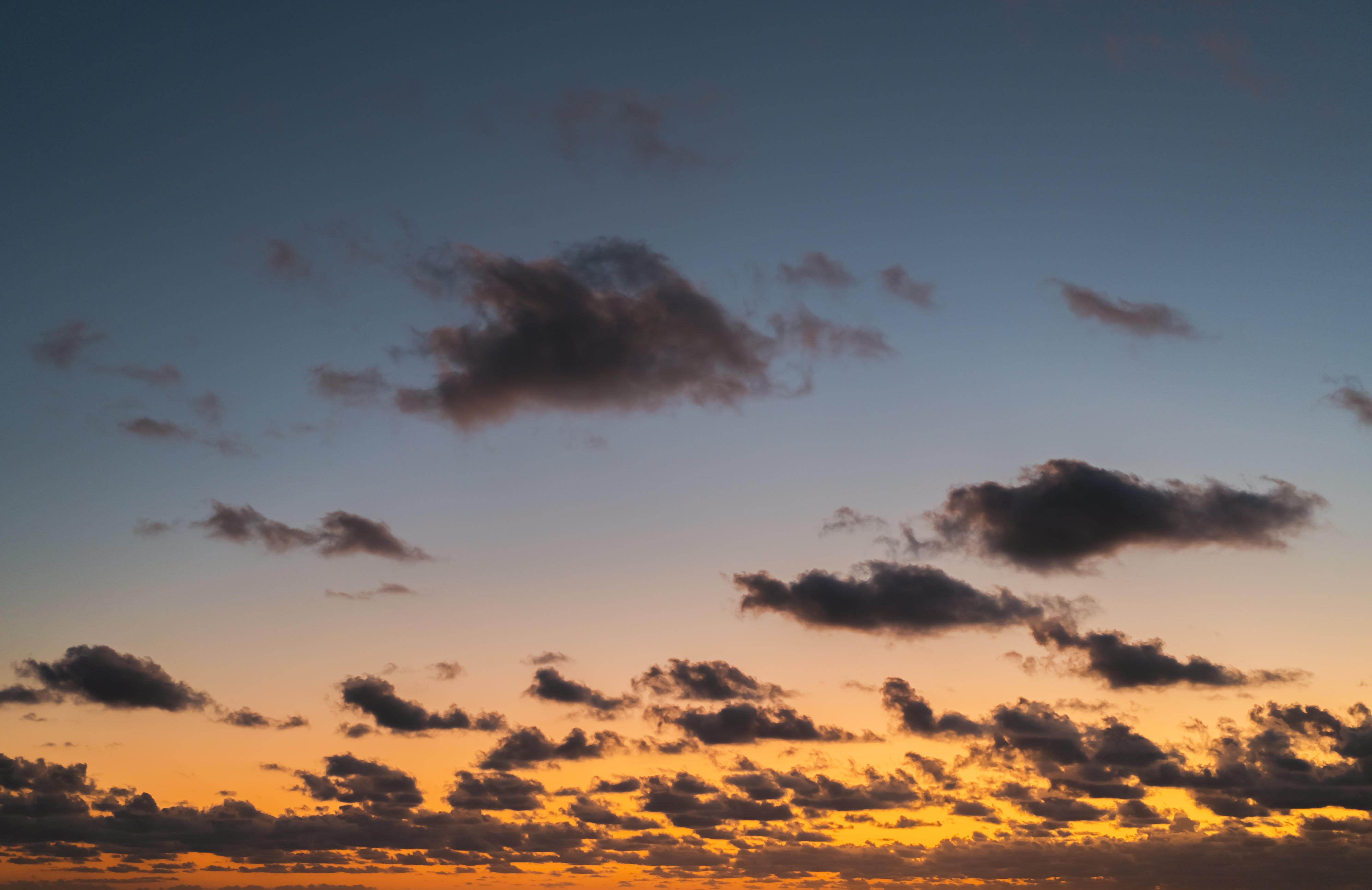 Whisper of the Ocean | Luminar Marketplace(72)