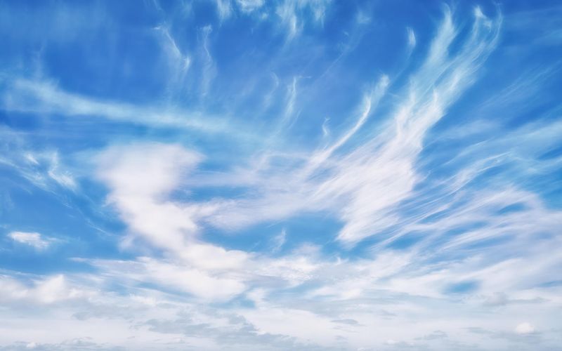 Skies included in the pack(28)