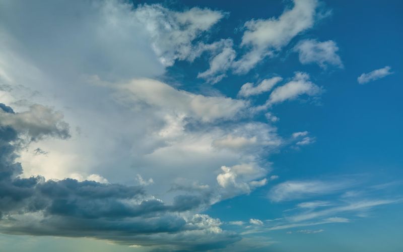 Skies included in the pack(44)