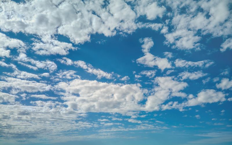 Skies included in the pack(12)