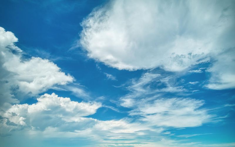 Skies included in the pack(21)