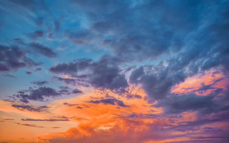 Skies included in the pack(30)