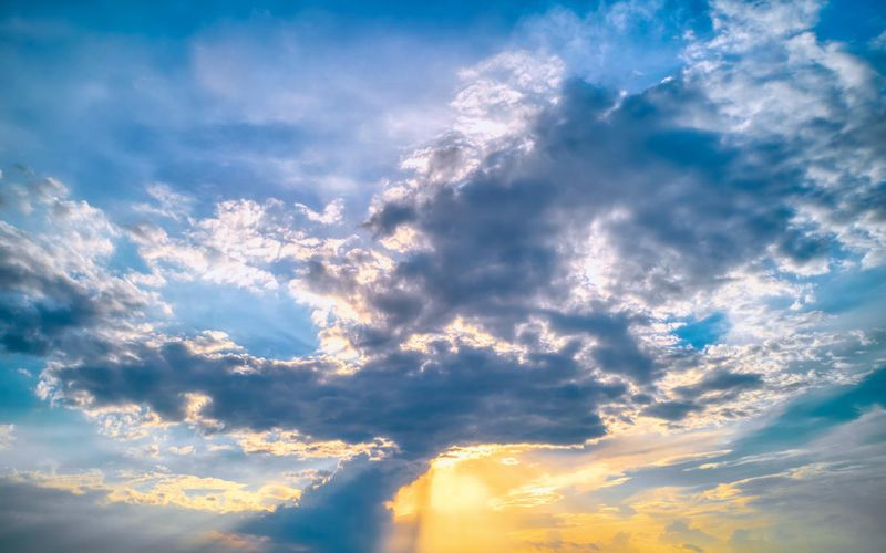 Skies included in the pack(39)
