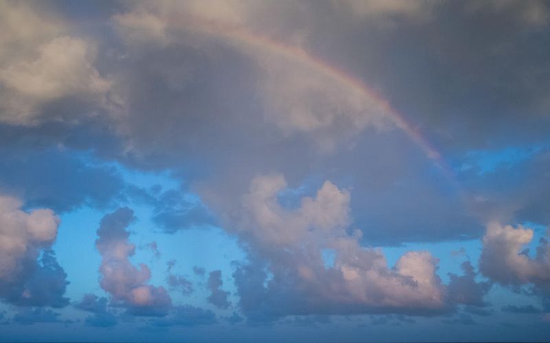 Skies included in the pack(2)