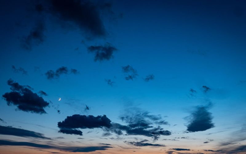 Skies included in the pack(4)