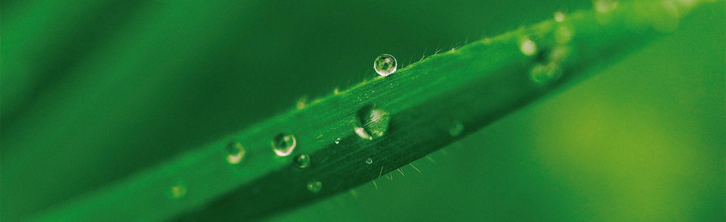 Macro Worlds — slide 3