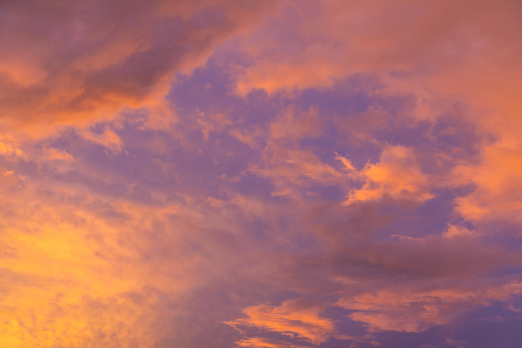 Tropical Skies | Luminar Marketplace(56)