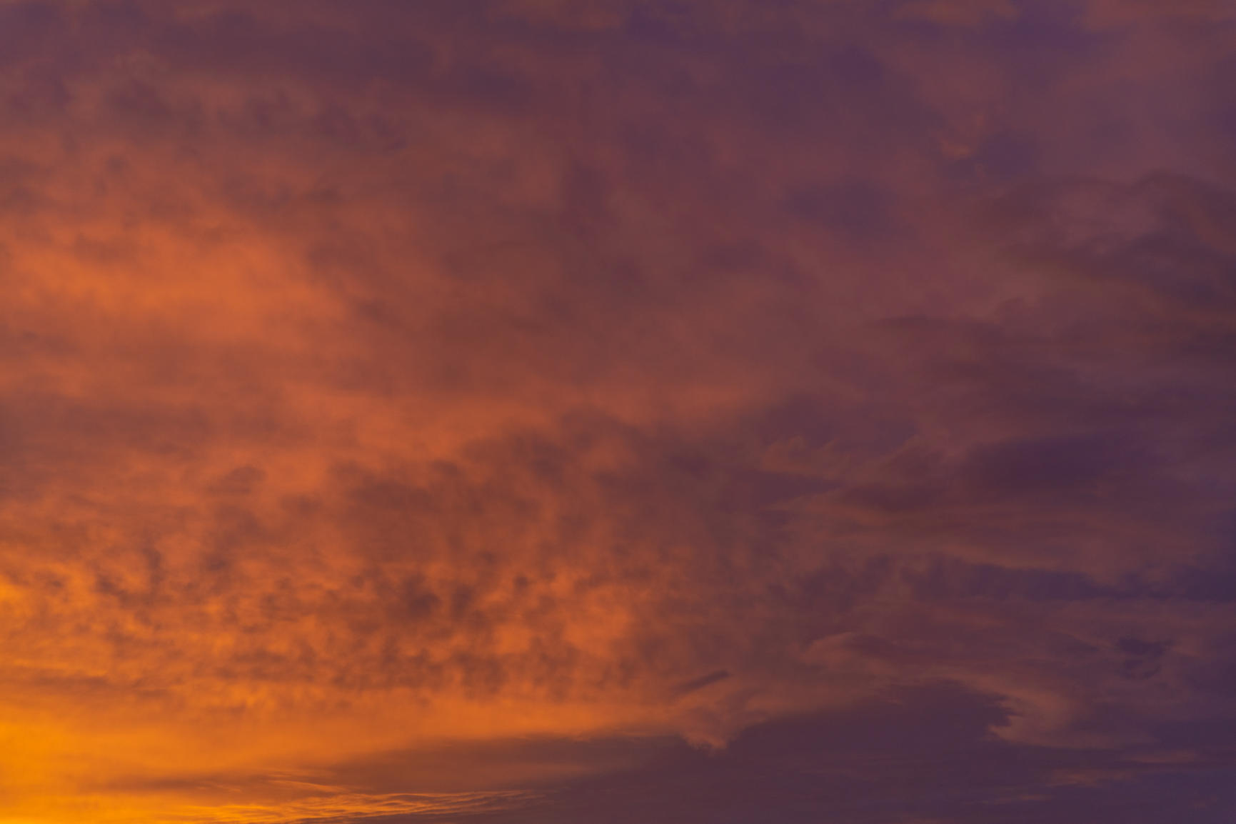 Tropical Skies | Luminar Marketplace(57)