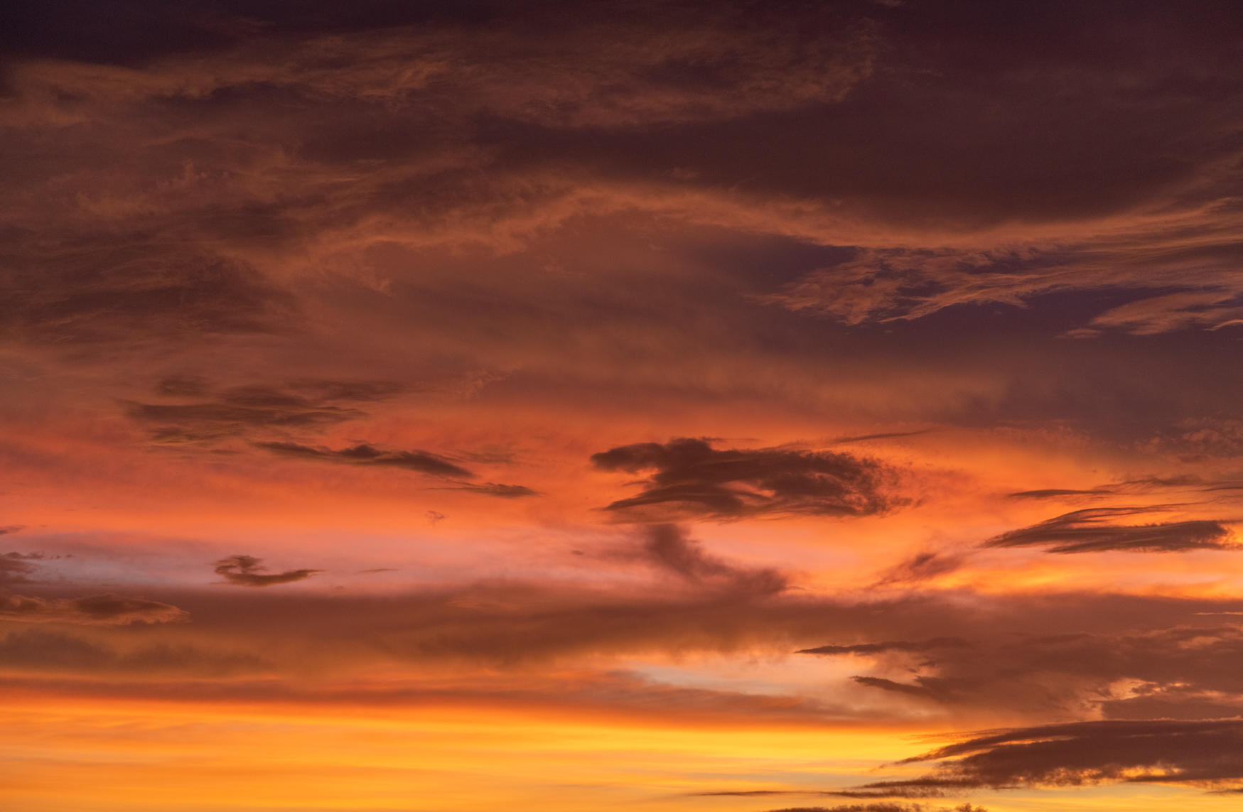 Tropical Skies | Luminar Marketplace(60)