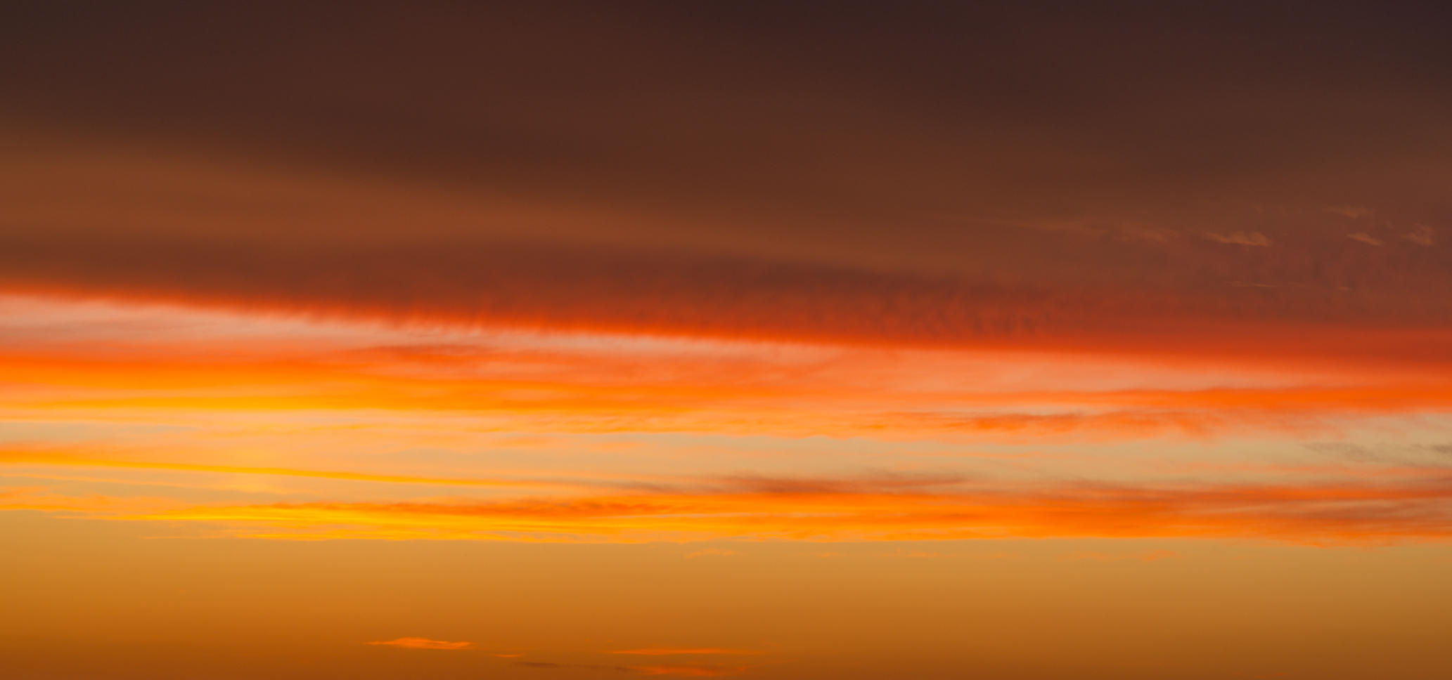 Tropical Skies | Luminar Marketplace(63)