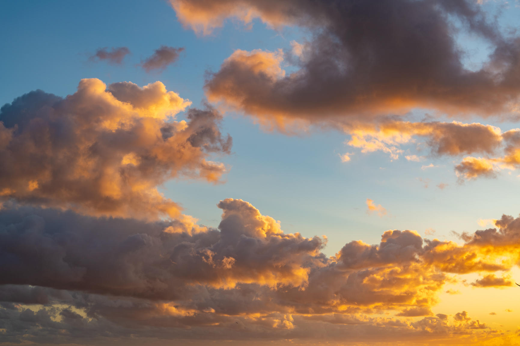 Tropical Skies | Luminar Marketplace(78)