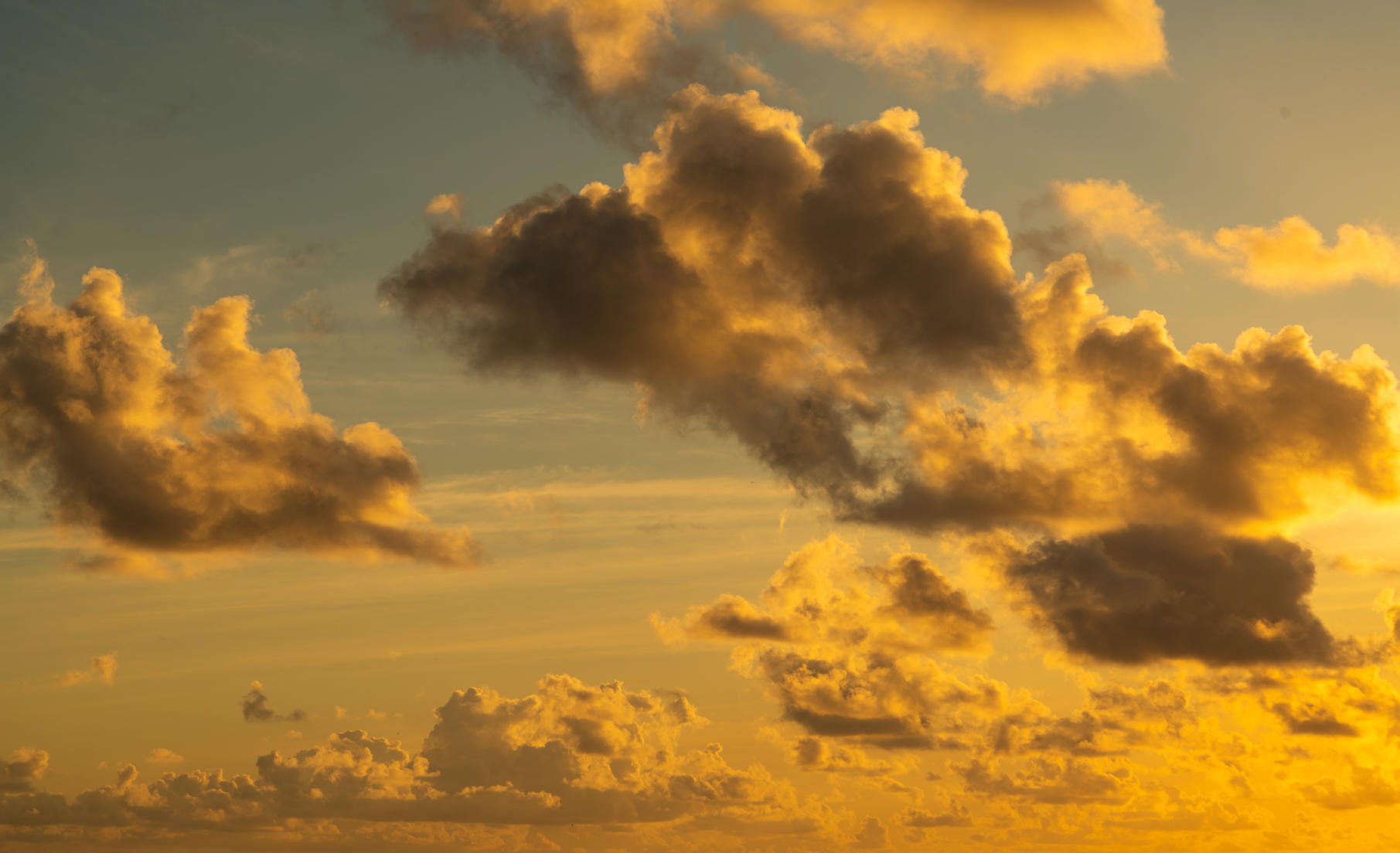 Tropical Skies | Luminar Marketplace(79)