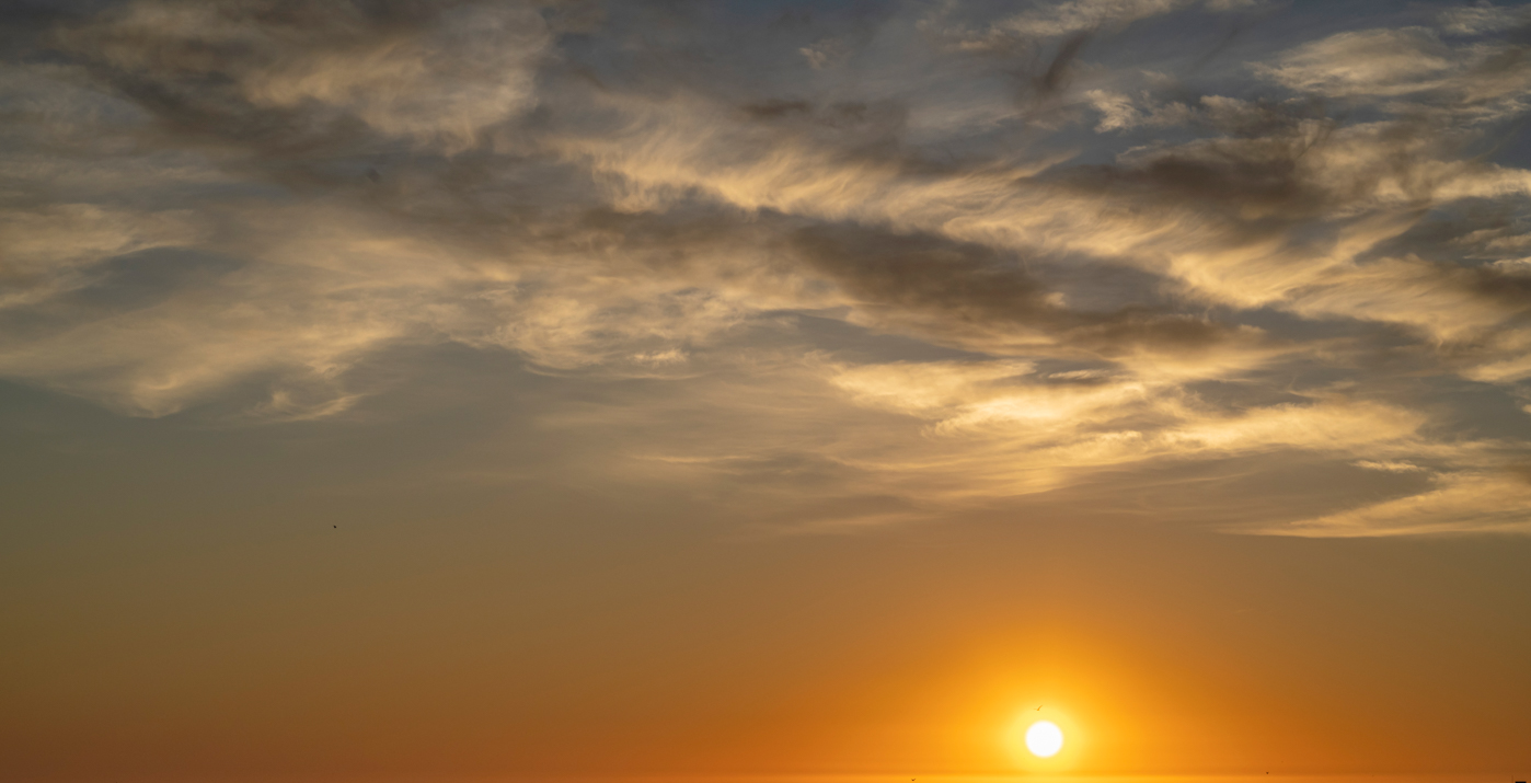 Northern Skies | Luminar Marketplace(55)