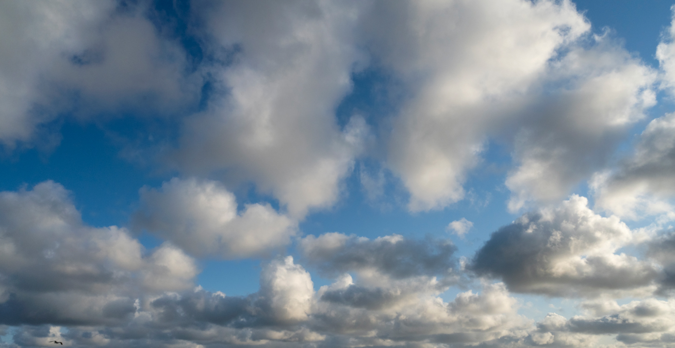 Northern Skies | Luminar Marketplace(76)