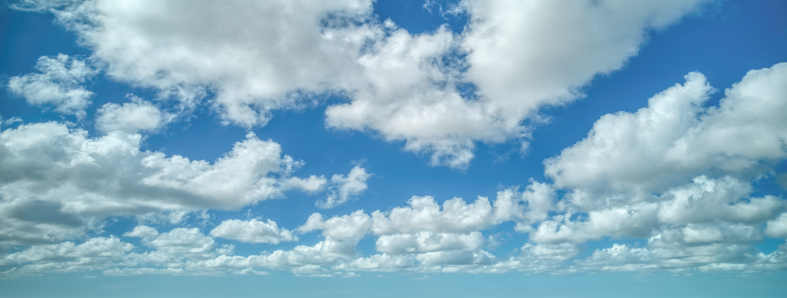 Wide Shot Dreams(52)