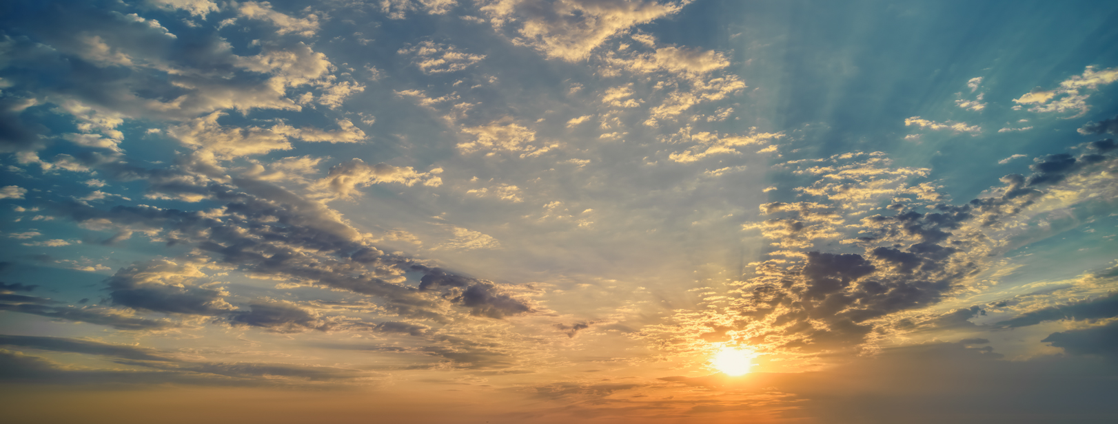 Wide Shot Dreams(53)