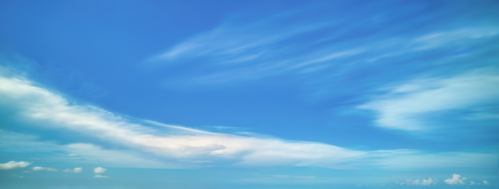 Wide Shot Dreams(54)