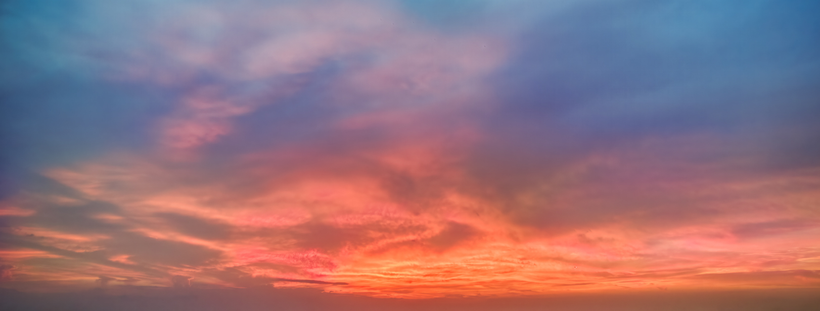 Wide Shot Dreams(56)