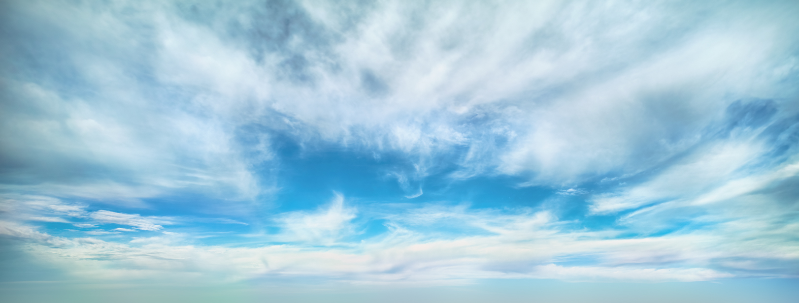 Wide Shot Dreams(55)