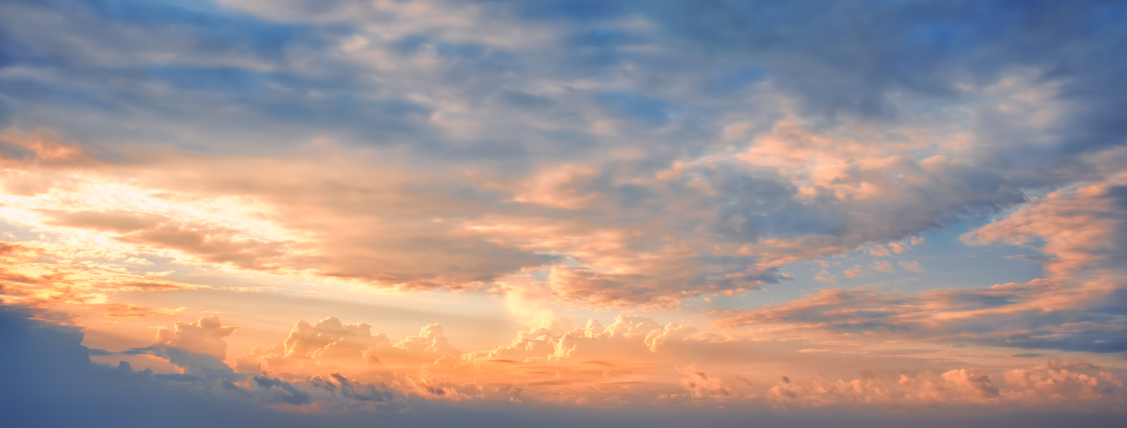 Wide Shot Dreams(57)