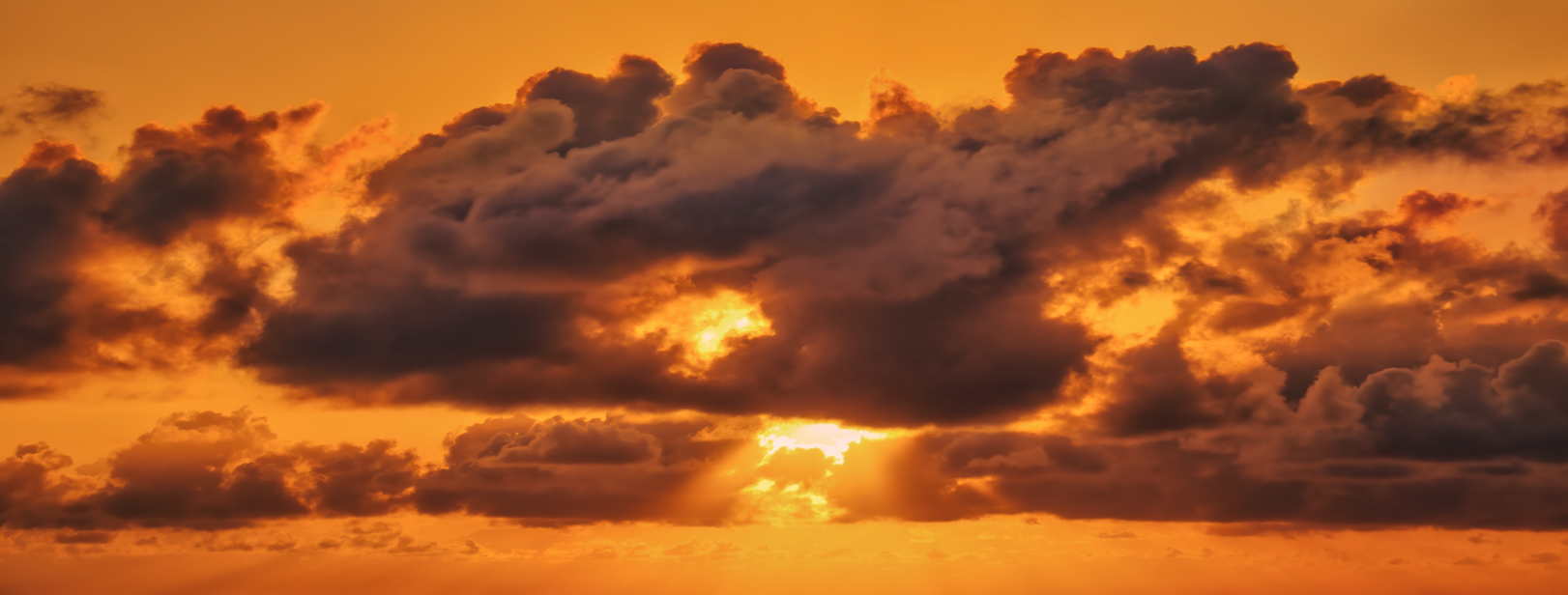 Wide Shot Dreams(59)