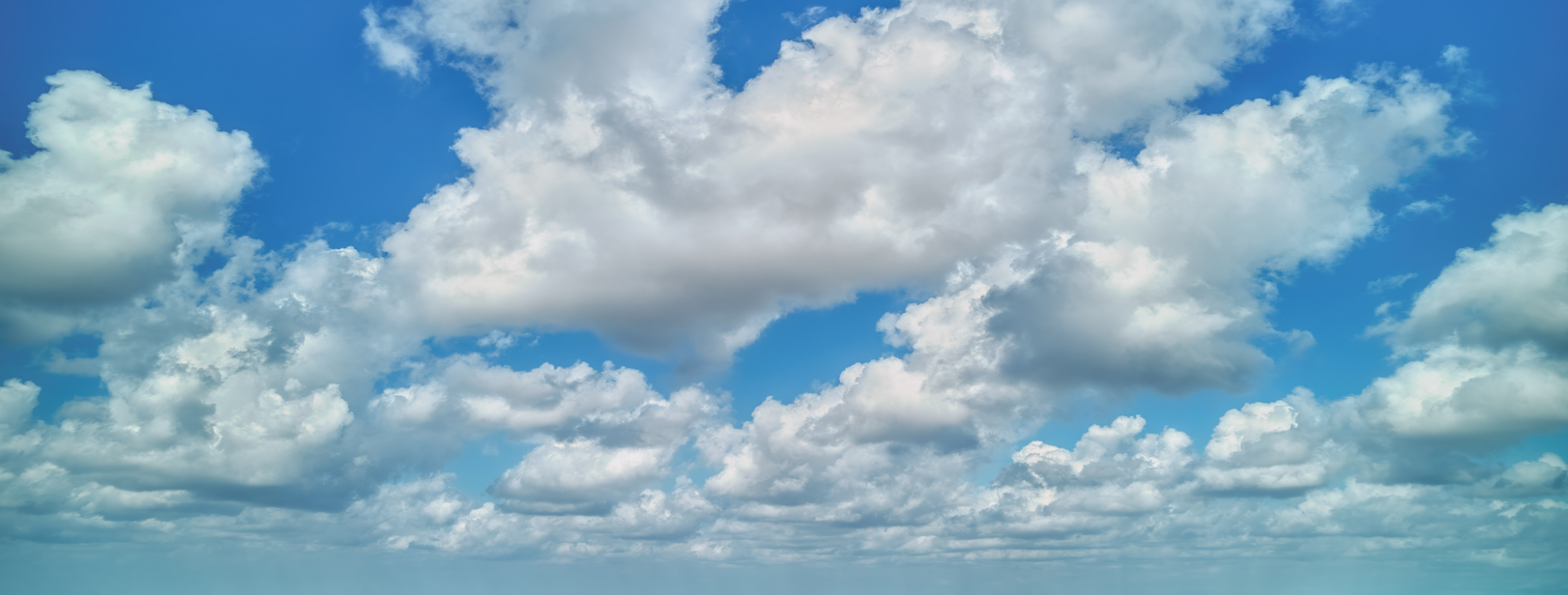 Wide Shot Dreams(60)