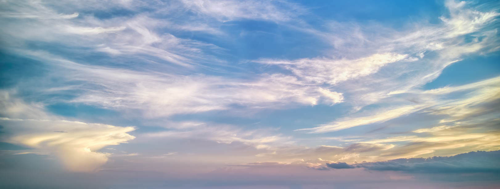 Wide Shot Dreams(61)