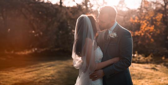 Rustic Wedding LUTs image