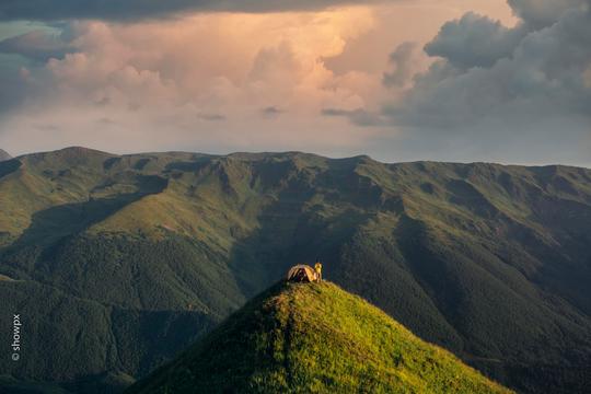 Tranquil Dawn Skies image