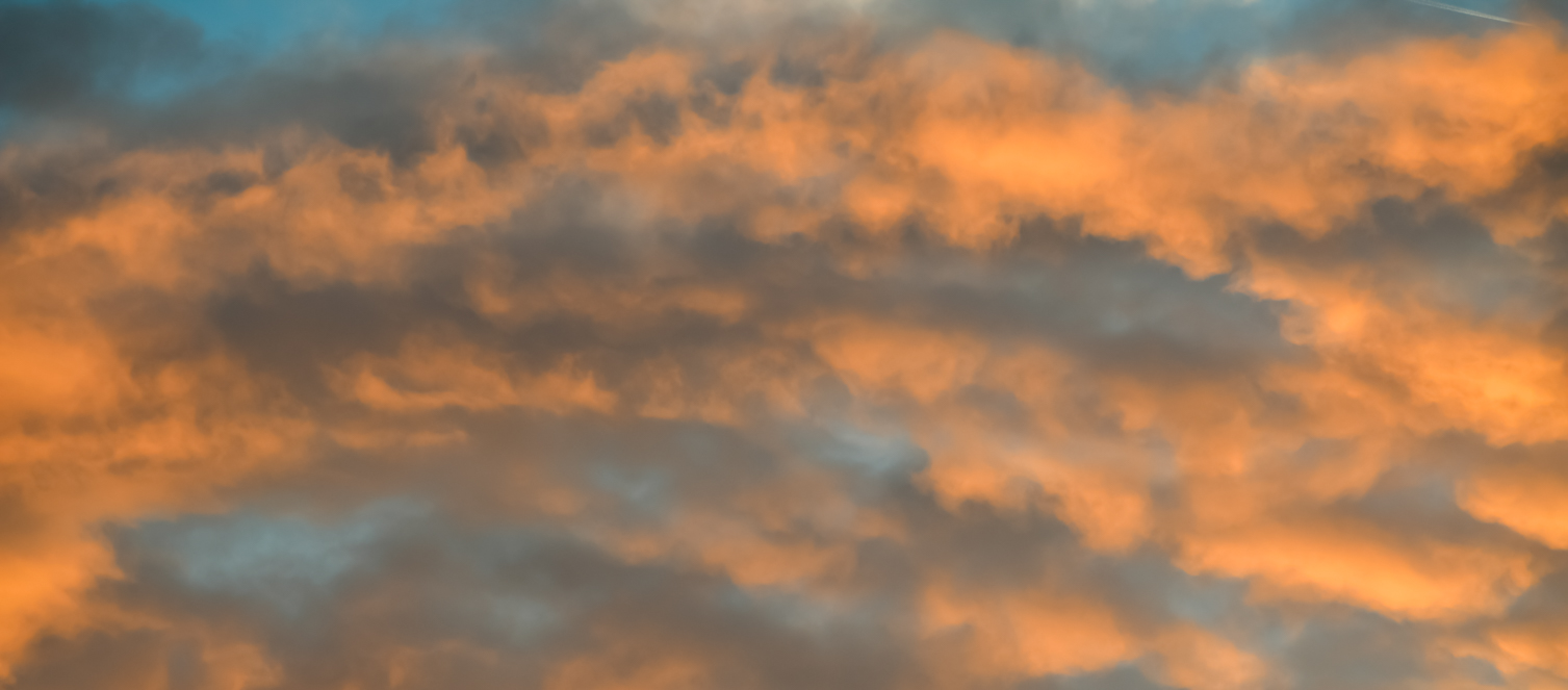 Shine and Glory Skies(53)