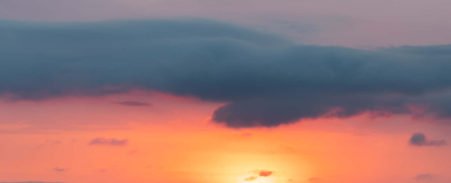 Shine and Glory Skies(54)