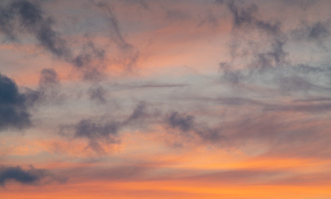 Shine and Glory Skies(55)