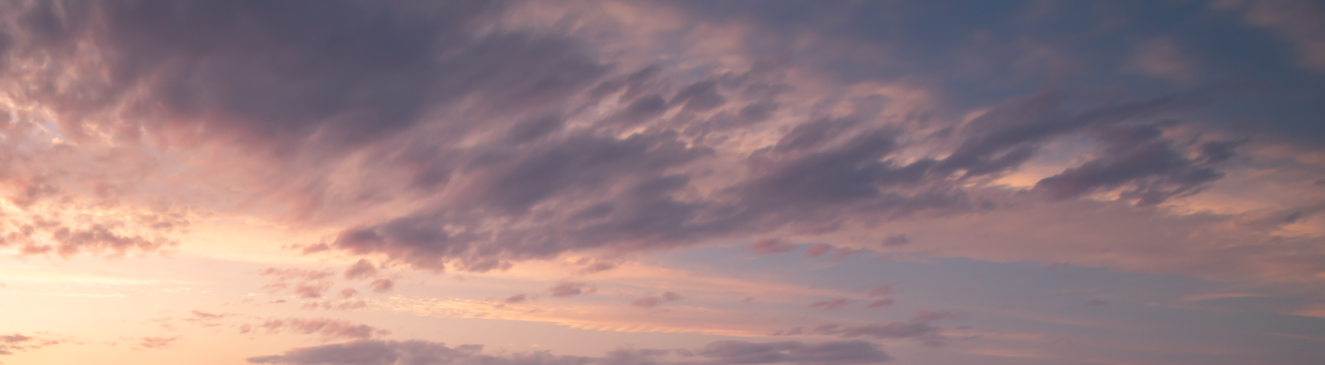 Shine and Glory Skies(56)