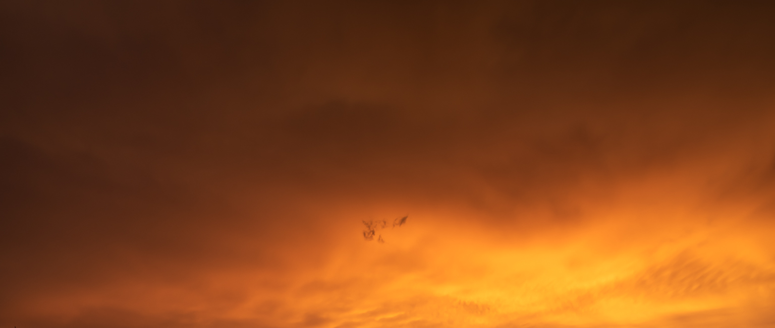 Shine and Glory Skies(58)