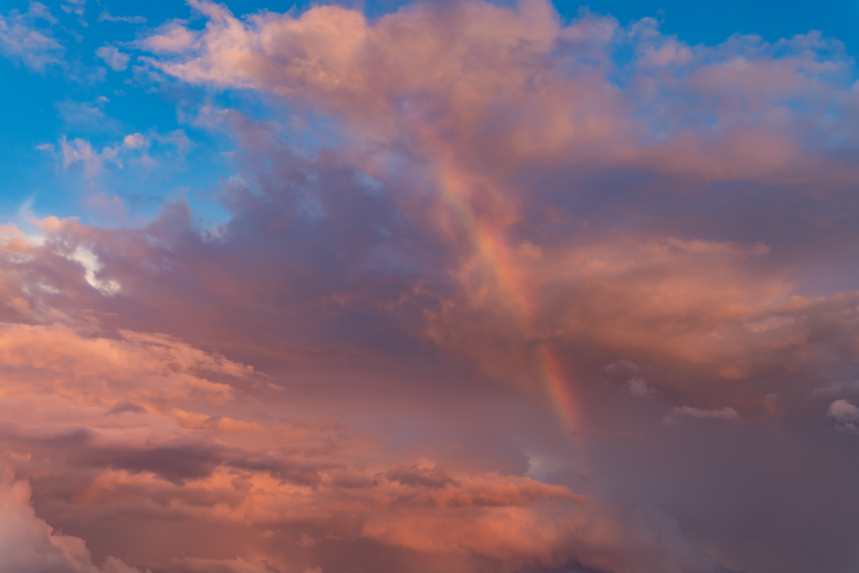 Fairy Rosy Skies(51)