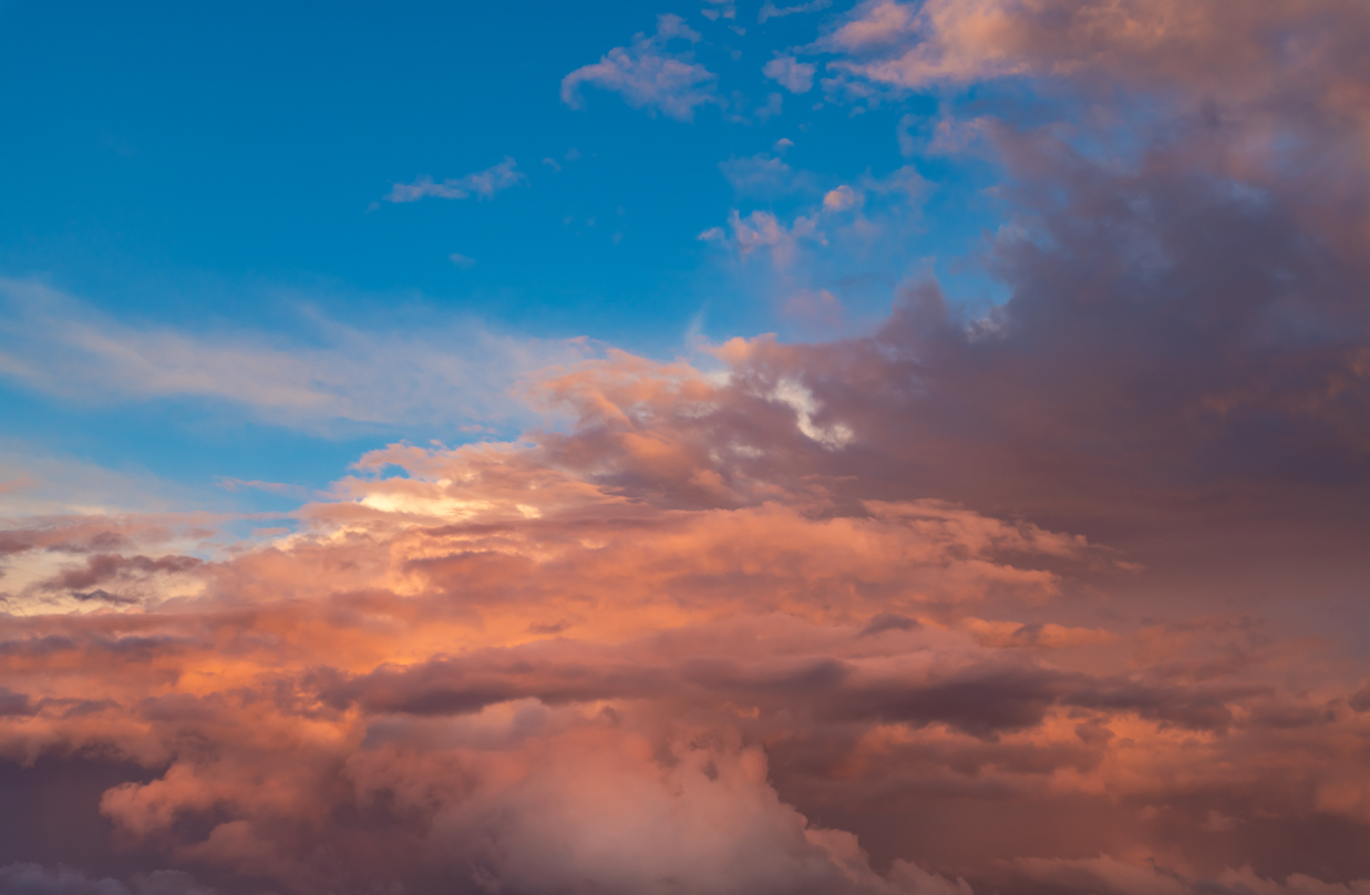 Fairy Rosy Skies(52)