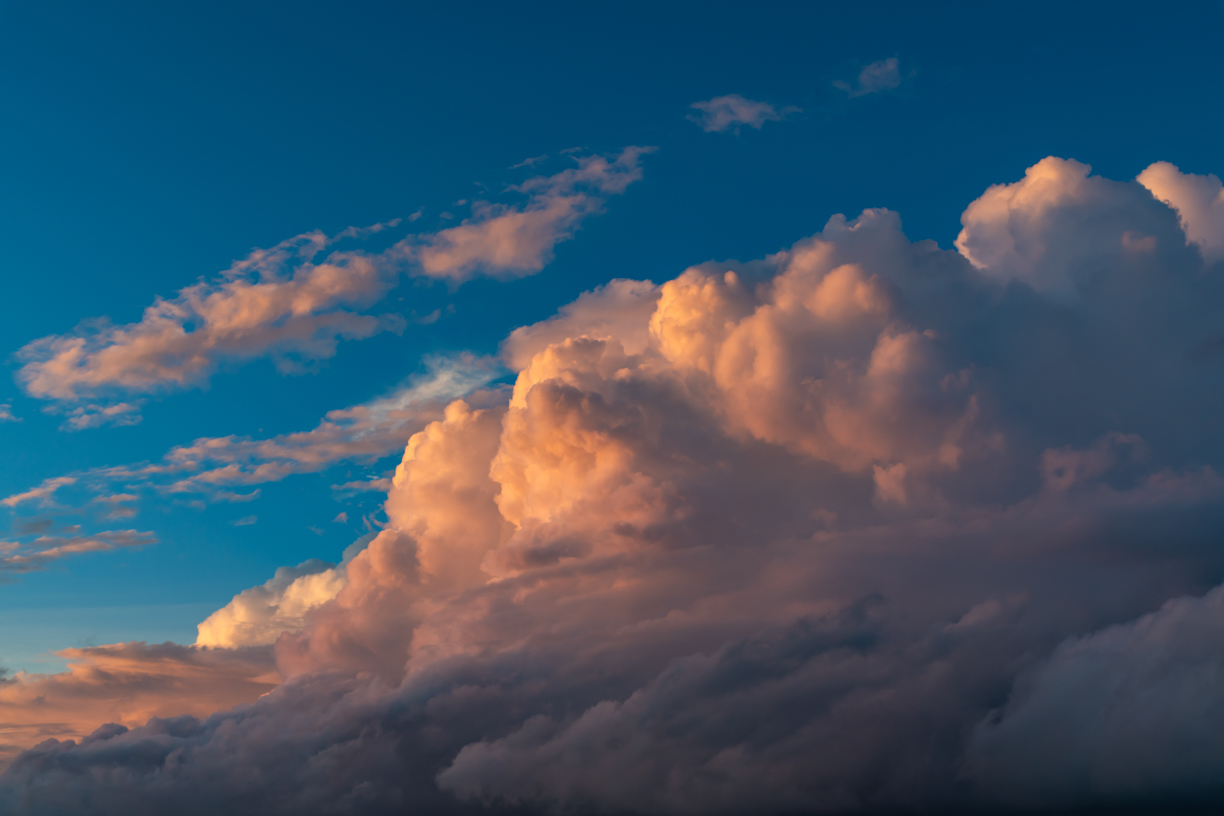 Fairy Rosy Skies(53)