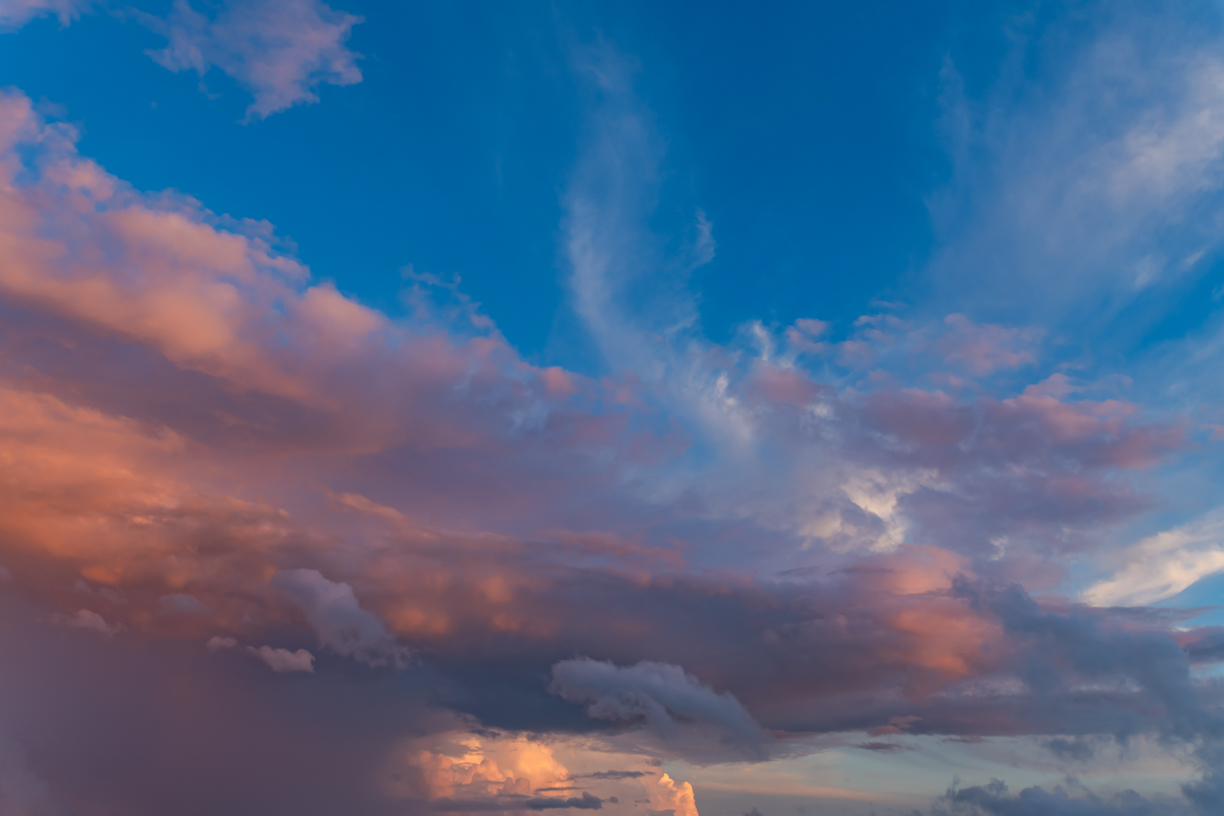 Fairy Rosy Skies(54)