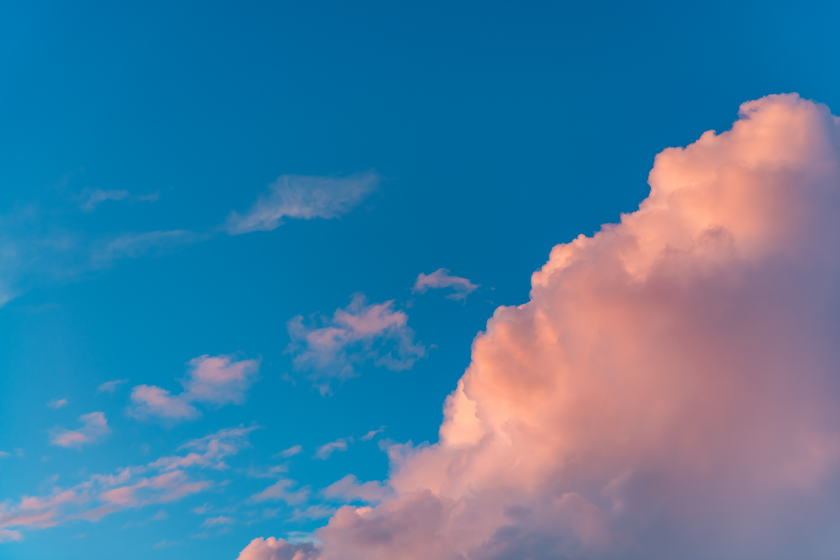 Fairy Rosy Skies(55)