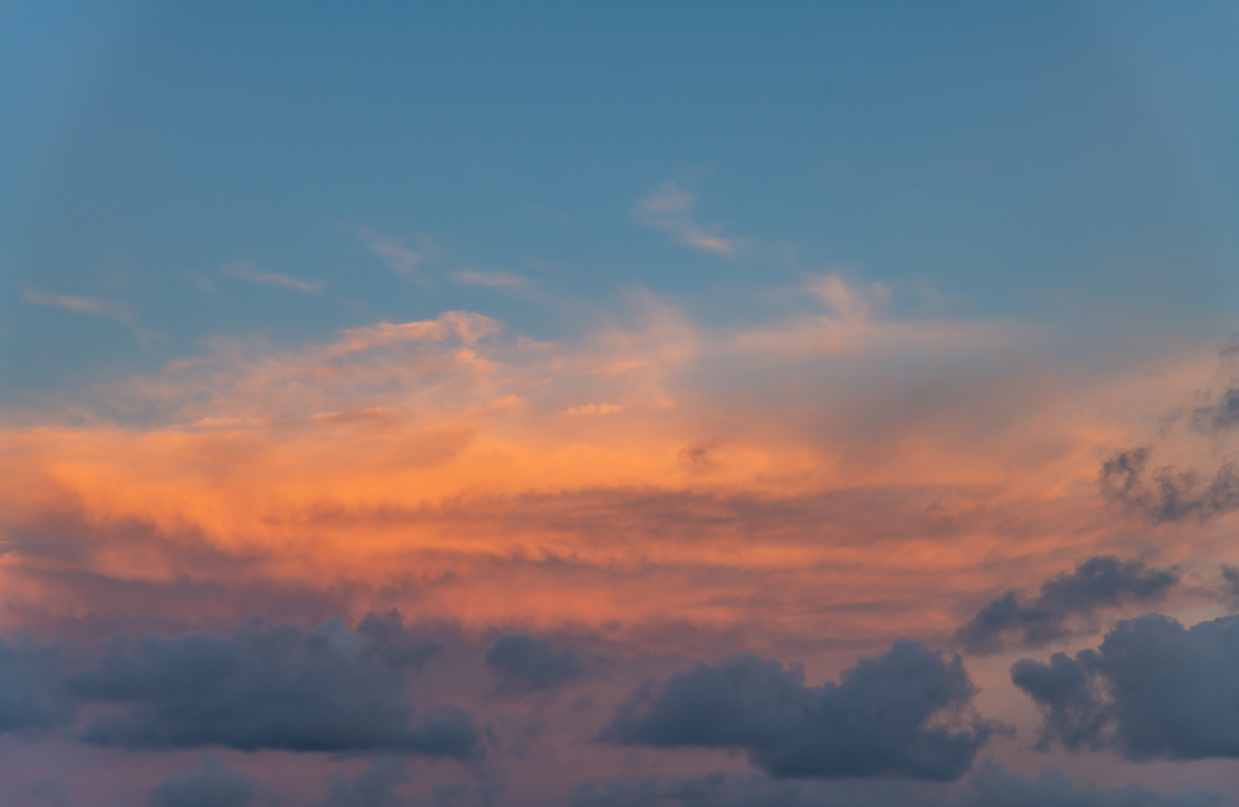 Fairy Rosy Skies(56)