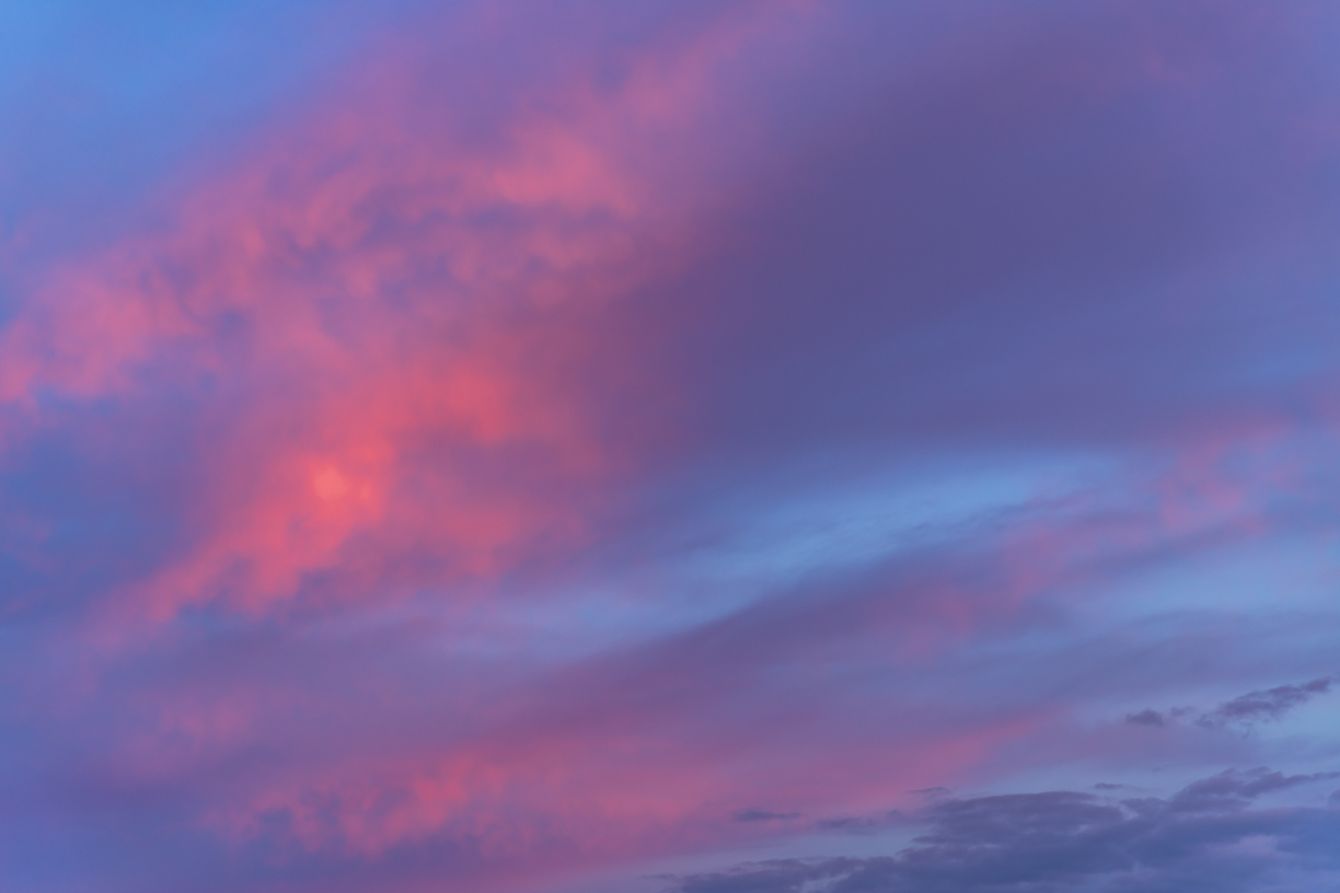 Fairy Rosy Skies(57)