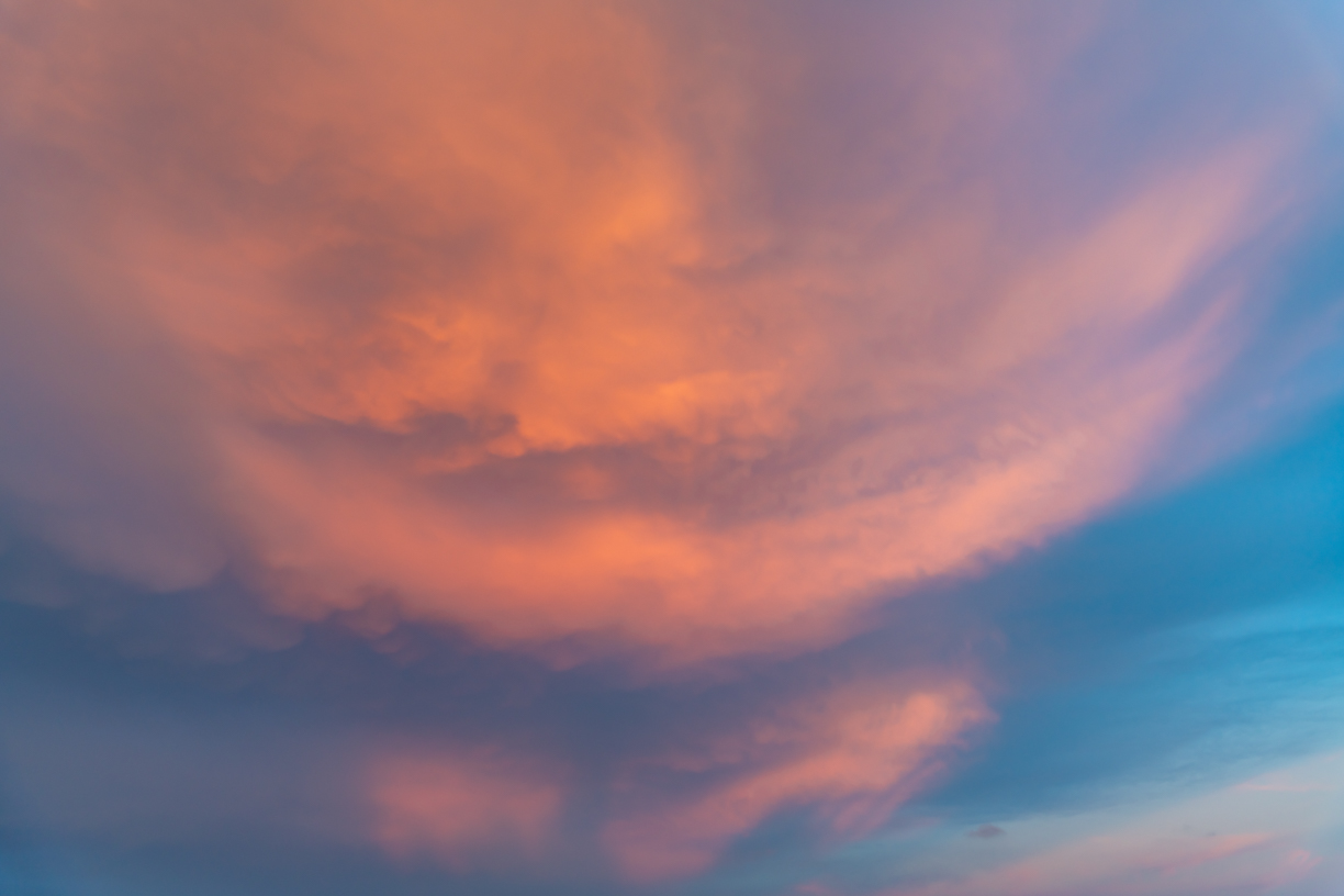 Fairy Rosy Skies(58)