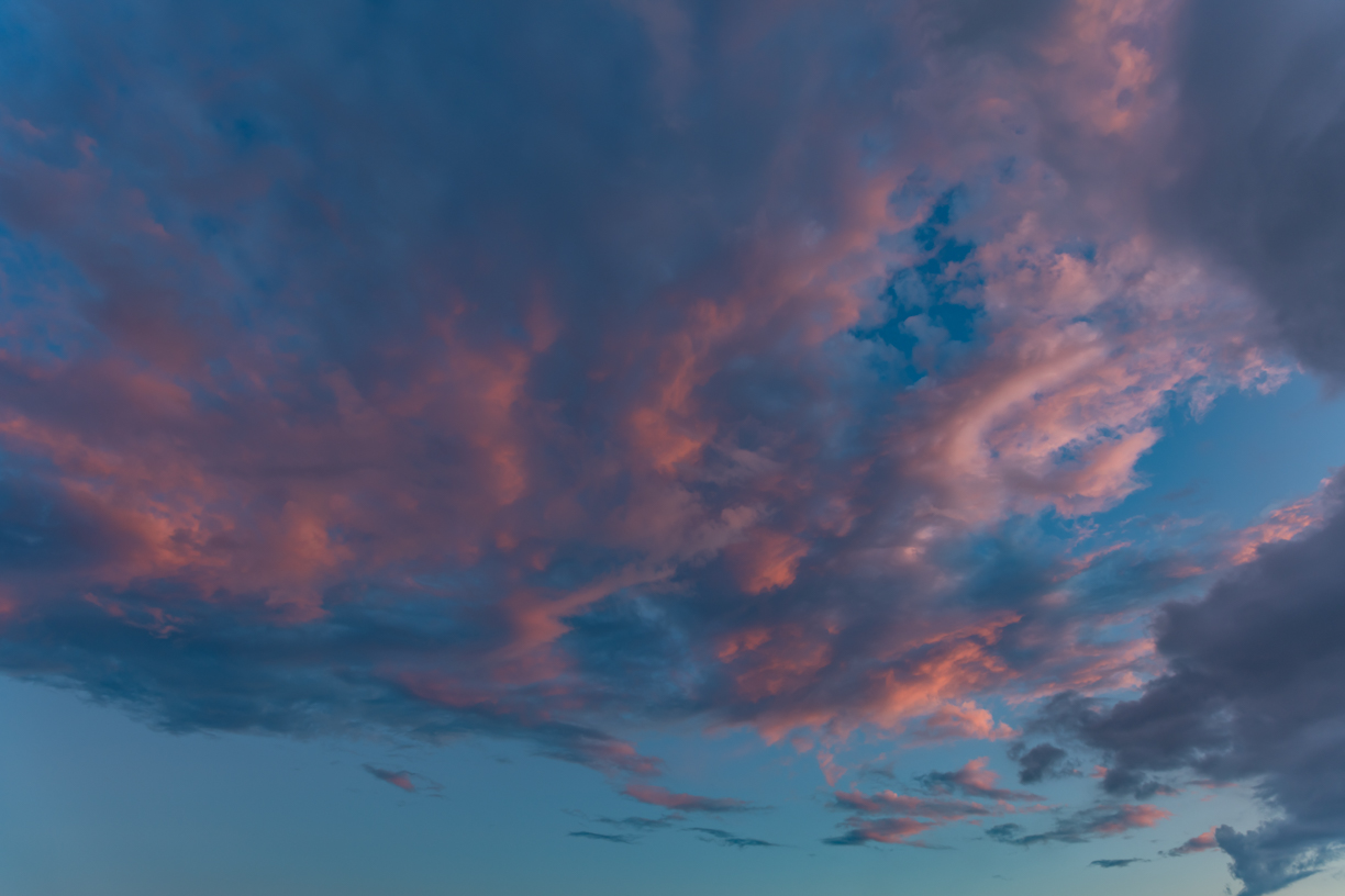 Fairy Rosy Skies(59)