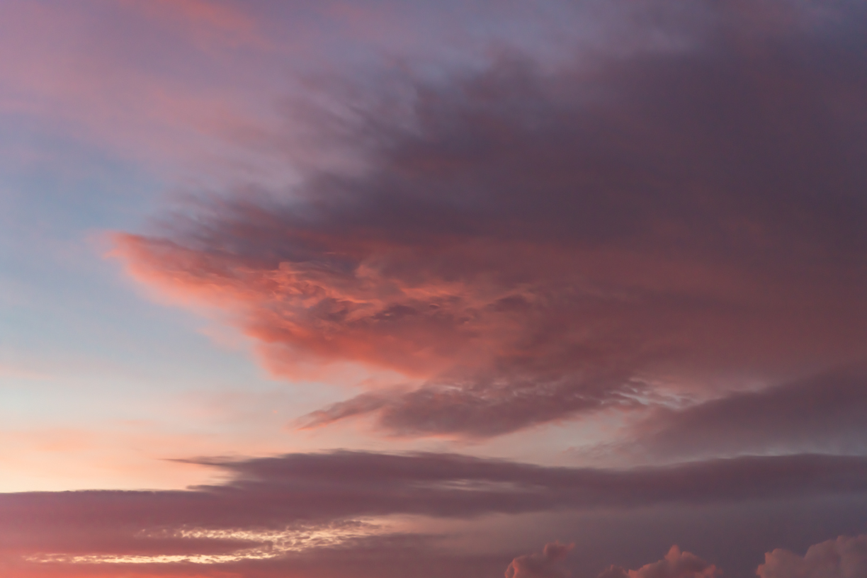 Fairy Rosy Skies(60)