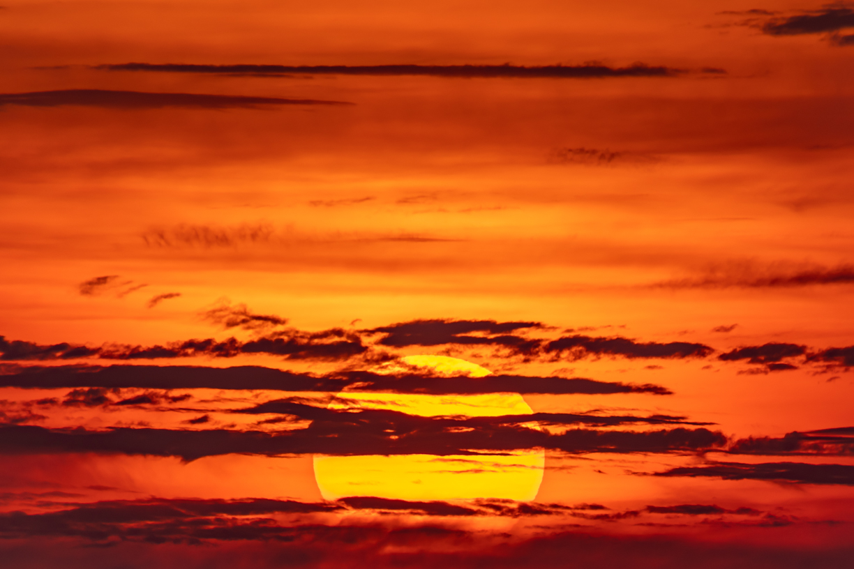 Vivid Sunsets Skies(60)