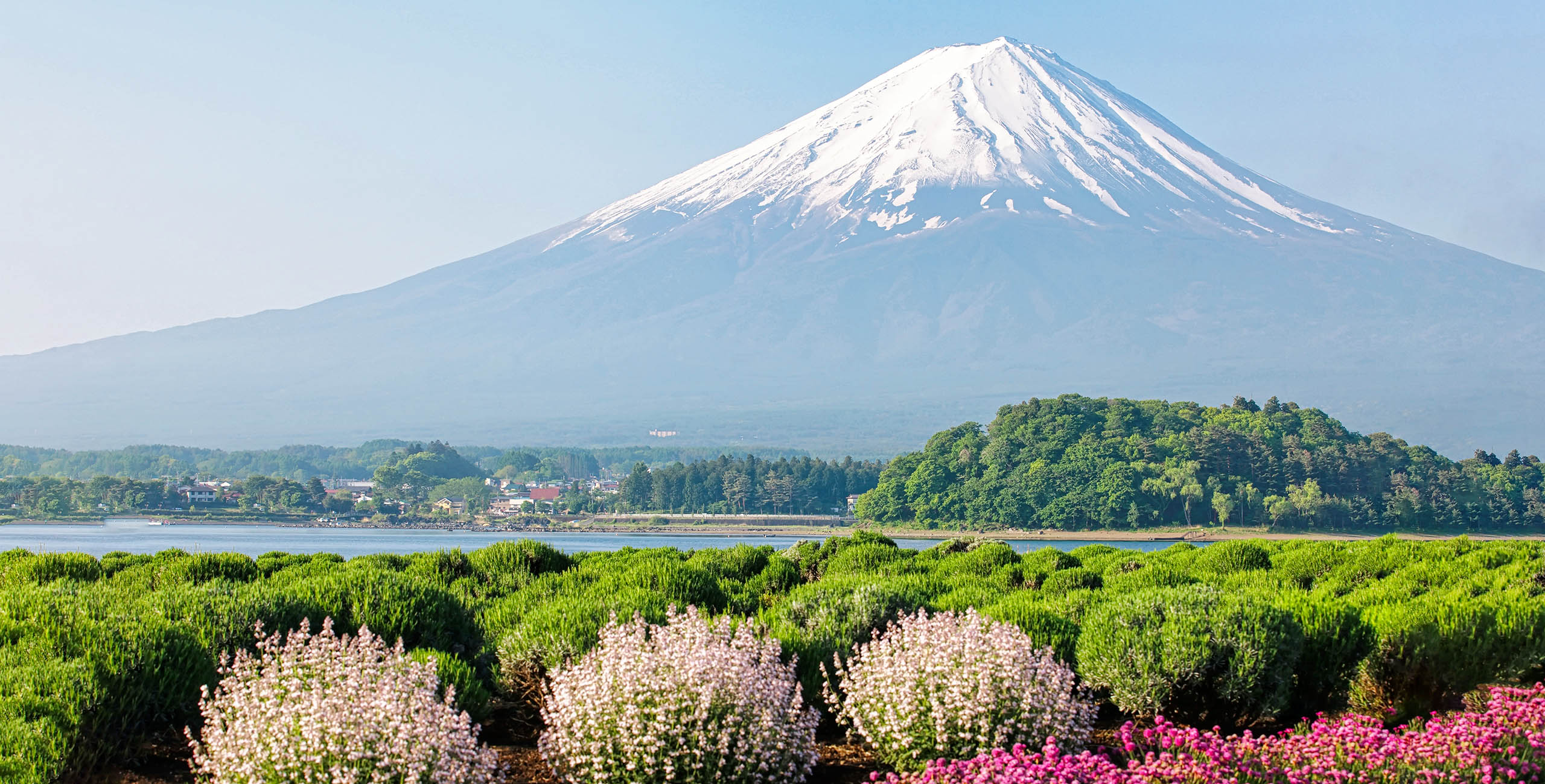 Buy Luminar | Skylum(196)