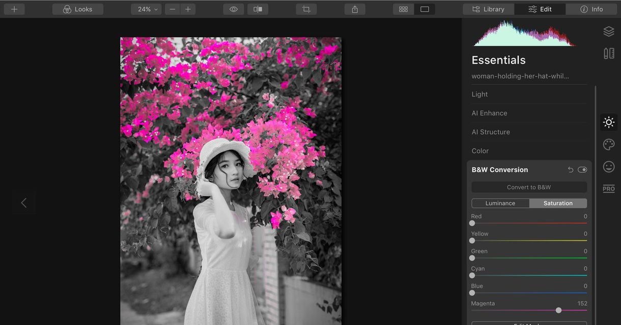 Create a Color Splash in Your Photos  